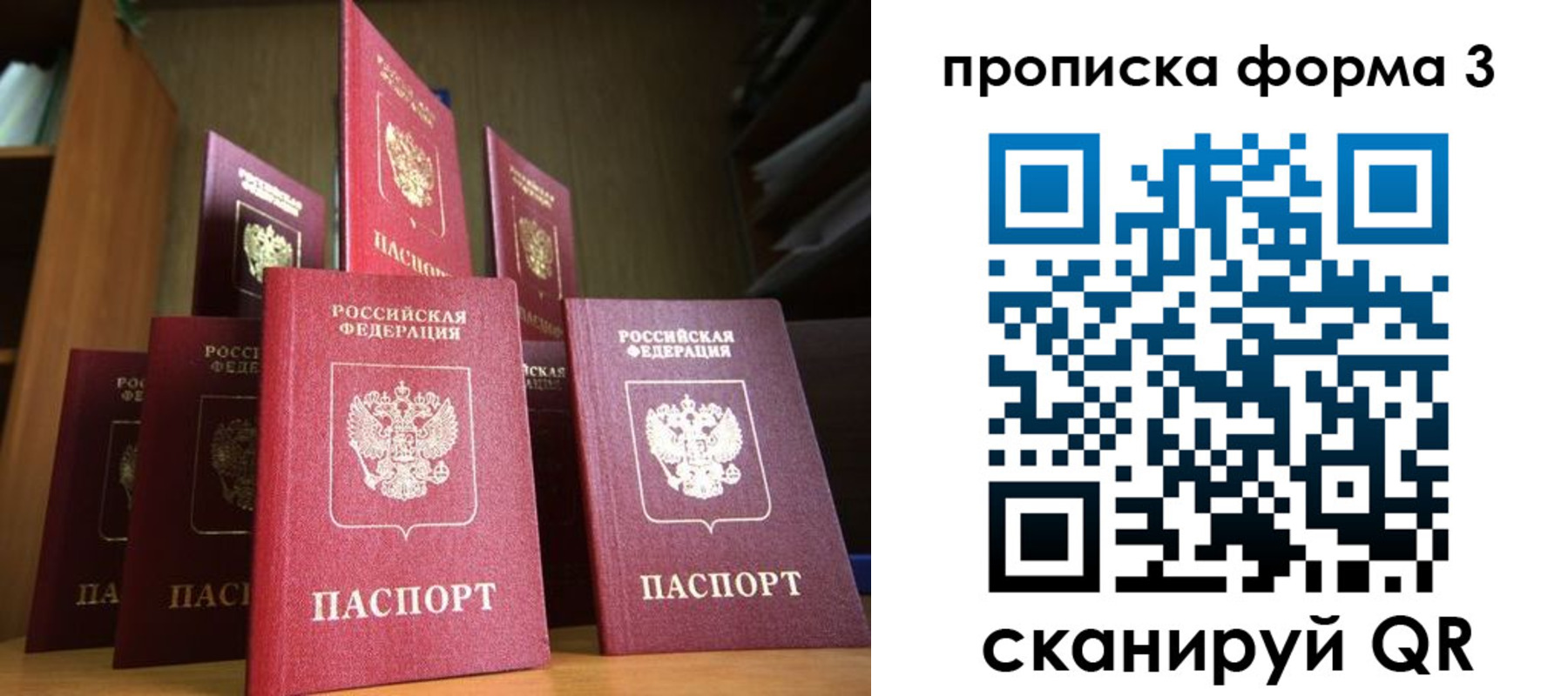 миграционный учет в Амурской области
